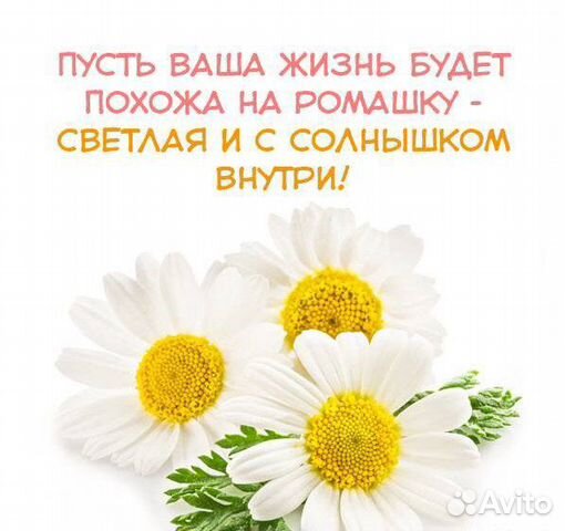 Собеседник друг на час