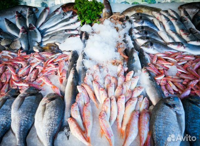 Рыба свежемороженая в ассортименте нск