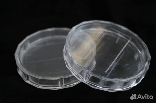 Коробка для хранения чашка петри 2 шт