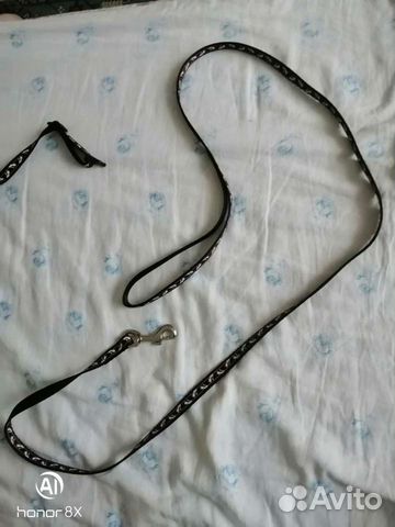 Ошейник, поводок шлейка