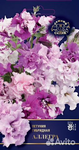 Семена Петунии более 70 сортов на складе доставка