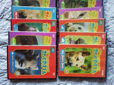 DVD о животных Твои весёлые друзья зверята