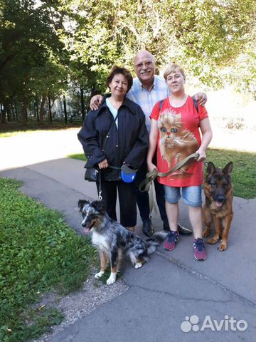 Передержка и выгул животных