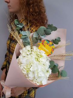 Гортензия цветы