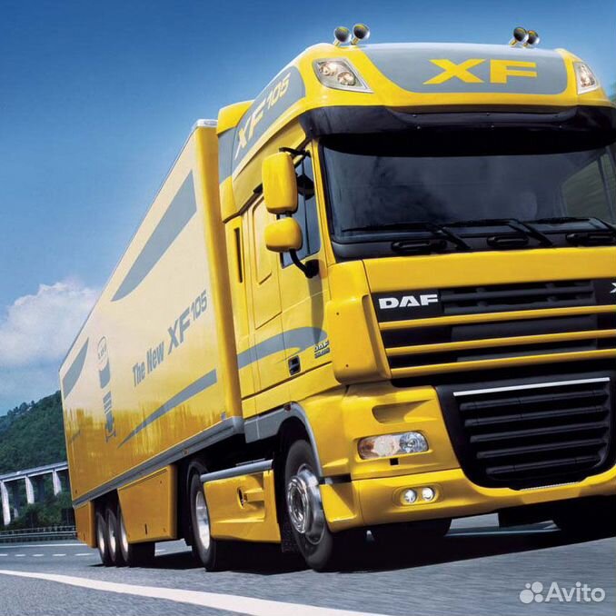 Водитель е вахта. Фура Даф XF. Тягач DAF. Грузовая машина DAF 105. DAF XF 105 super Space Cab.