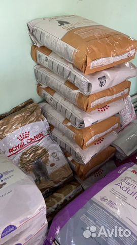 Корм для кошек 13 кг мейн кун, британец роял канин