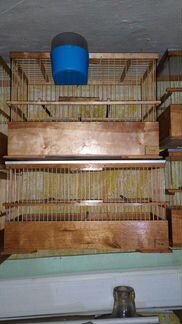 Клетки для птиц деревянные