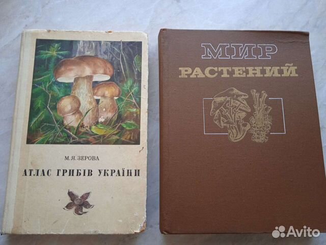 2 книги о грибах