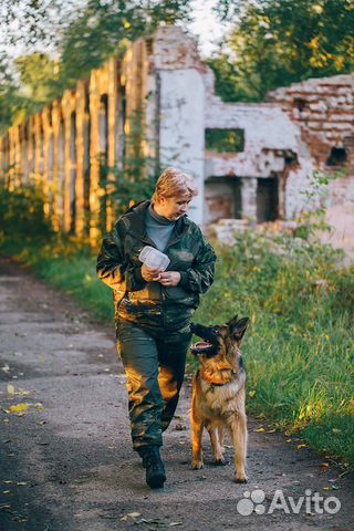 Кинолог. Дрессировка собак
