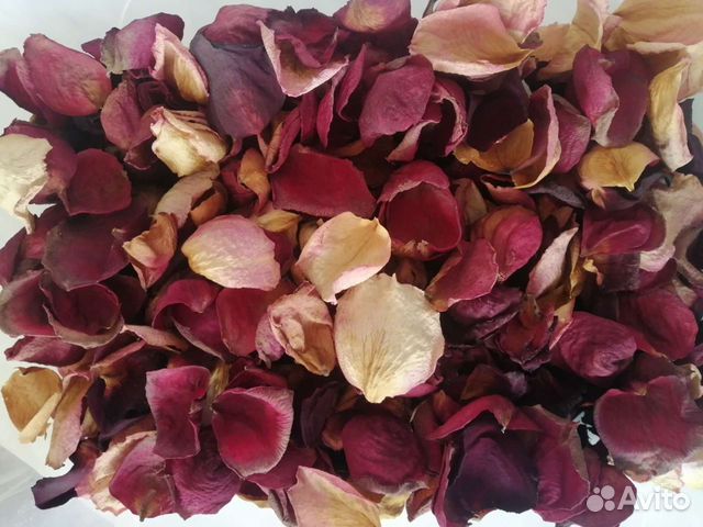 Сухие лепестки роз, бутоны