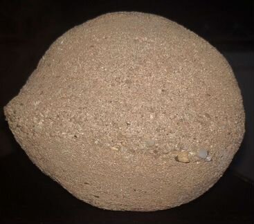 Сфероллит,конкреция с торчащейю из него окаменелою