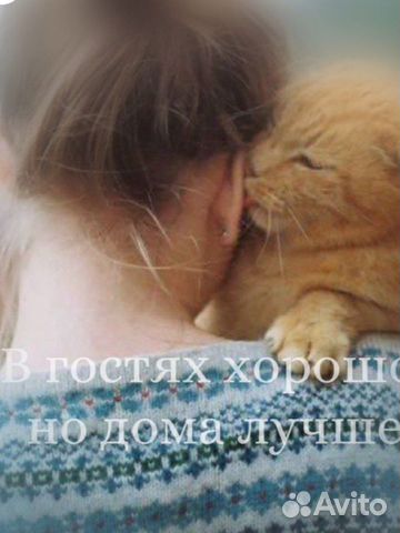 Передержка