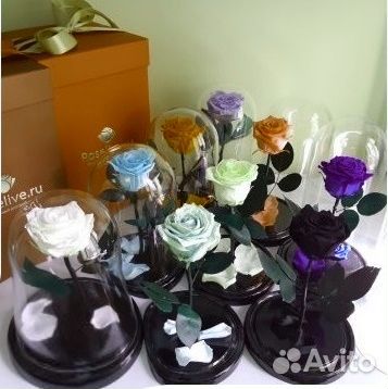Пр-во Тлт. Вечная Роза в колбе. Много моделей