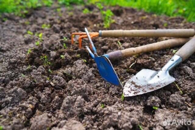 Seedspost ru интернет магазин семян в спб вредно ли каждый день курить коноплю