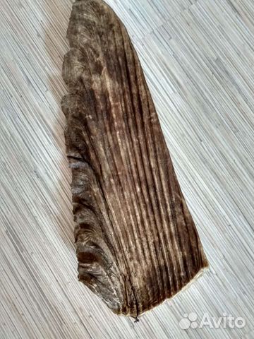 Плавник акулы