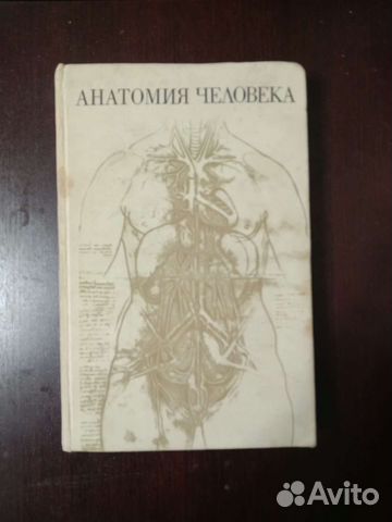 Учебник по анатомии на 584стр