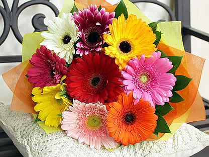 Доставка цветов ульяновск ленинский район недорого букет гипсофил разноцветных