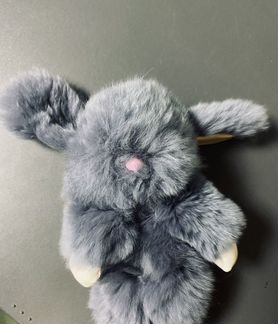 Декоративный кролик