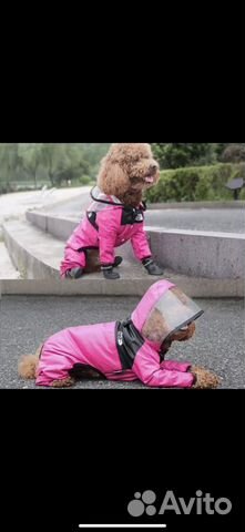 Одежда для средних собак