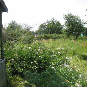 родниковая улица москва. снт мир родниковая вл 24. снт солнцево. дача снт лазурный. снт мир родниковая.