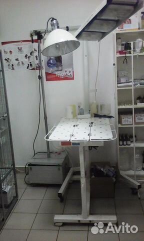 Стерилизация собак и кошек на дому