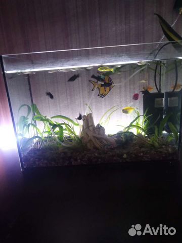 Аквариум