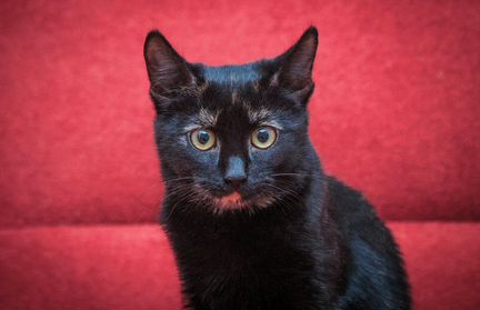 Кики, 2 года