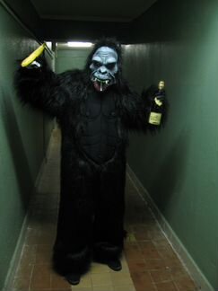 Костюм гориллы (Аренда-Продажа)(Зеленоград)