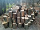 Продам дрова в пеньках (липа)