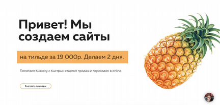 Резюме Создание сайтов / лендинг / интернет-магаз