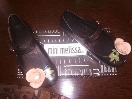 Мини мелиса