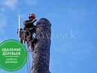 Удаление, обрезка и спил деревьев в Егорьевске объявление продам