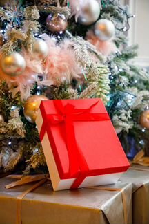 Подарок на новый год девушке