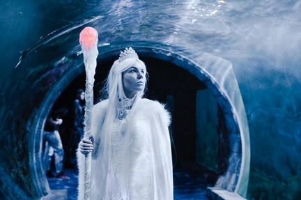 Костюм для аниматоров Снежная королева новогодний