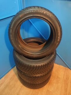 Nexen WinGuard 231 205/55R16 30
