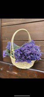 Лаванда букет