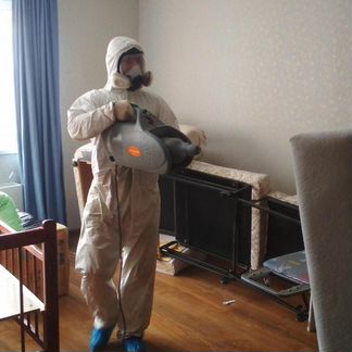 Уничтожение мышей, крыс, кротов