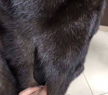 Шуба норковая трансформер в идеальном состоянии