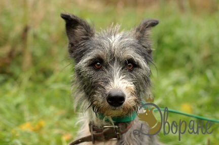 Нора в самые добрые руки