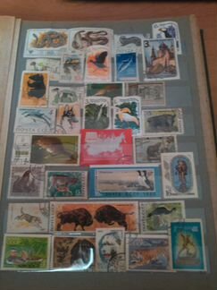 Коллекция марок со всего мира, более 650 штук RAR