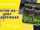 Зоопарк+набережная г.Ростов объявление продам