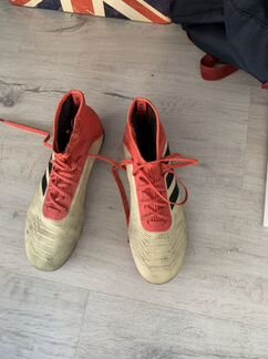 Predator 18.1