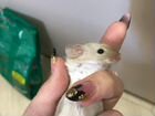 Мышь декоративная сатиновая