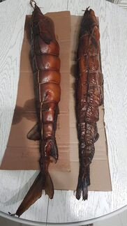 Сом горячего копчения (Астраханская рыба)